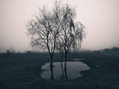 Paesaggio dell'orrore. Foto di William Bradshaw